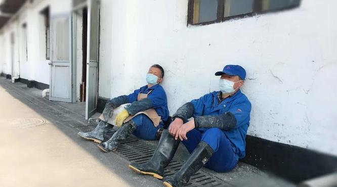 黄酒集团酿酒师每天在车间里走2万多步,急得午休时间都想省!
