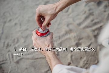 3、茅台，五粮液，洋河三大品牌，哪个历史更悠久一些？