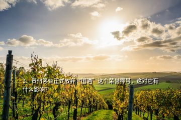 3、贵州茅台正式放弃“国酒”这个荣誉称号，这对它有什么影响？