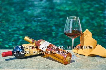 5、为什么感觉贵州人很少喝茅台酒，四川人喝五粮液的也不是多数，他们平时喝什么酒比较多？