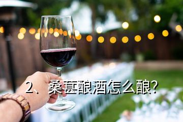 2、桑葚酿酒怎么酿？