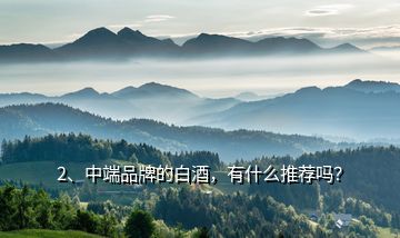2、中端品牌的白酒，有什么推荐吗？