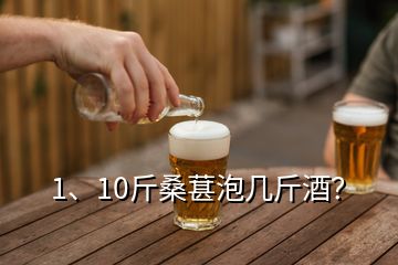 1、10斤桑葚泡几斤酒？