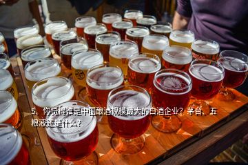 5、你觉得谁是中国酿酒规模最大的白酒企业？茅台、五粮液还是什么？