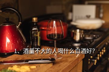 1、酒量不大的人喝什么白酒好？