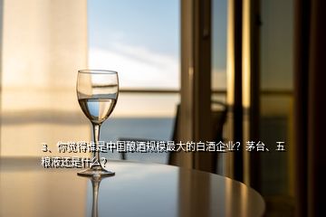 3、你觉得谁是中国酿酒规模最大的白酒企业？茅台、五粮液还是什么？