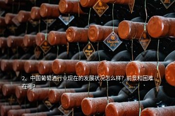 2、中国葡萄酒行业现在的发展状况怎么样？前景和困难在哪？