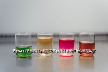 茅台APPi茅台即将上线飞天茅台具体该通过什么流程购买