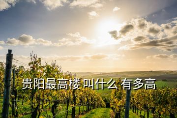 贵阳最高楼 叫什么 有多高