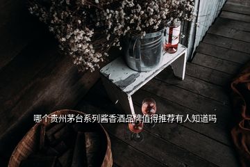 哪个贵州茅台系列酱香酒品牌值得推荐有人知道吗