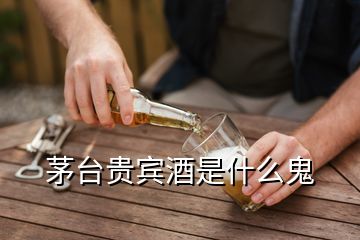 茅台贵宾酒是什么鬼