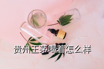 贵州王茅喝着怎么样