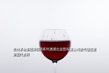 贵州茅台集团舜锦鸿系列酒湖北运营有限公司是代理还是集团代表开