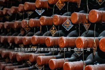 京东商城卖的茅台酒 就是那种五六百 是一瓶还是一箱