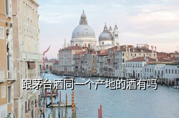 跟茅台酒同一个产地的酒有吗