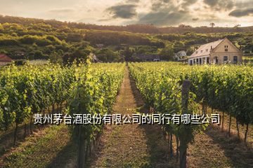 贵州茅台酒股份有限公司的同行有哪些公司