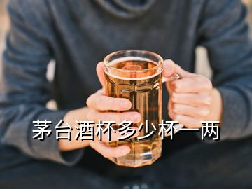 茅台酒杯多少杯一两