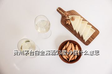 贵州茅台白金酱酒53度v9是什么意思