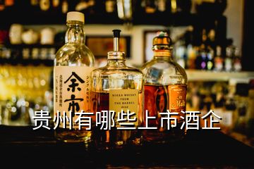 贵州有哪些上市酒企