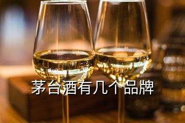 茅台酒有几个品牌