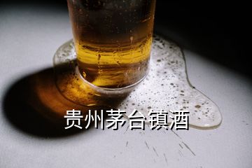 贵州茅台镇酒