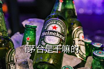 i茅台是干嘛的