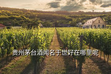 贵州茅台酒闻名于世好在哪里呢