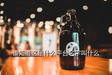 谁知道这是什么平台名字叫什么