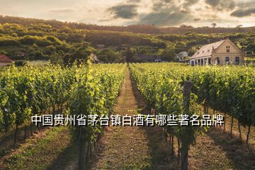 中国贵州省茅台镇白酒有哪些著名品牌