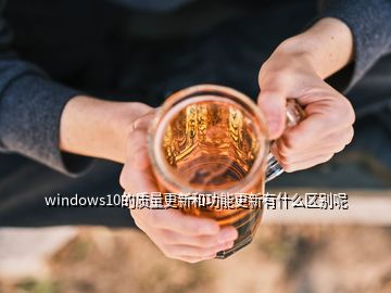 windows10的质量更新和功能更新有什么区别呢