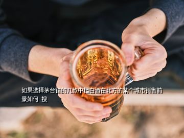 如果选择茅台镇的几款中档白酒在北方的某个城市销售前景如何  搜