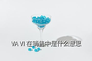 VA VI 在销售中是什么意思