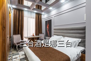 三台酒是哪三台