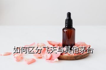 如何区分飞天与其他茅台