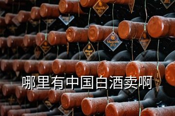 哪里有中国白酒卖啊