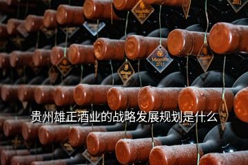 贵州雄正酒业的战略发展规划是什么