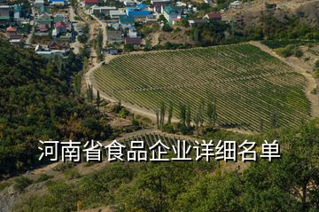 河南省食品企业详细名单