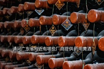 请问广东省附近有哪些厂商提供 药用黄酒