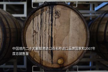 中国境内二十大葡萄酒进口商名称进口品牌国家和2007年度总销售量