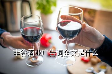 丰谷酒业广告词全文是什么