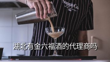 湖北有金六福酒的代理商吗