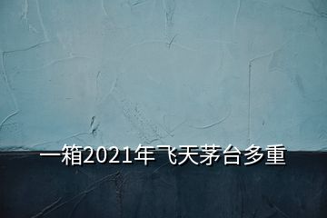 一箱2021年飞天茅台多重