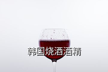 韩国烧酒酒精