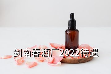 剑南春酒厂2022待遇