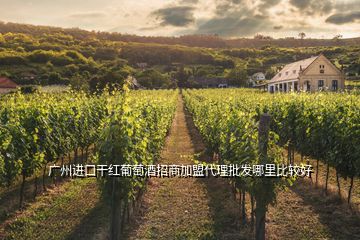 广州进口干红葡萄酒招商加盟代理批发哪里比较好