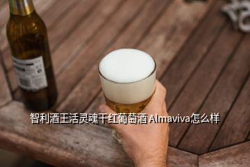 智利酒王活灵魂干红葡萄酒 Almaviva怎么样