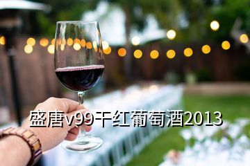 盛唐v99干红葡萄酒2013