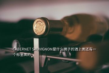 CABERNET SAUVIGNON是什么牌子的酒上面还有一个标里面的