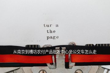 从南京到槽坊农付产品批发中心坐公交车怎么走