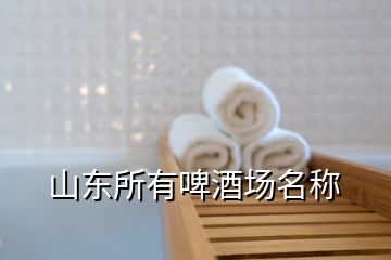 山东所有啤酒场名称